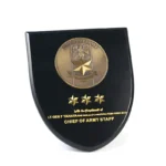 Jefe del Estado Mayor del Ejército de NigeriaTrofeo personalizado/Medallas de placa