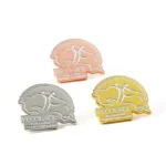 Emaille Gold Silber Rose Anstecknadeln